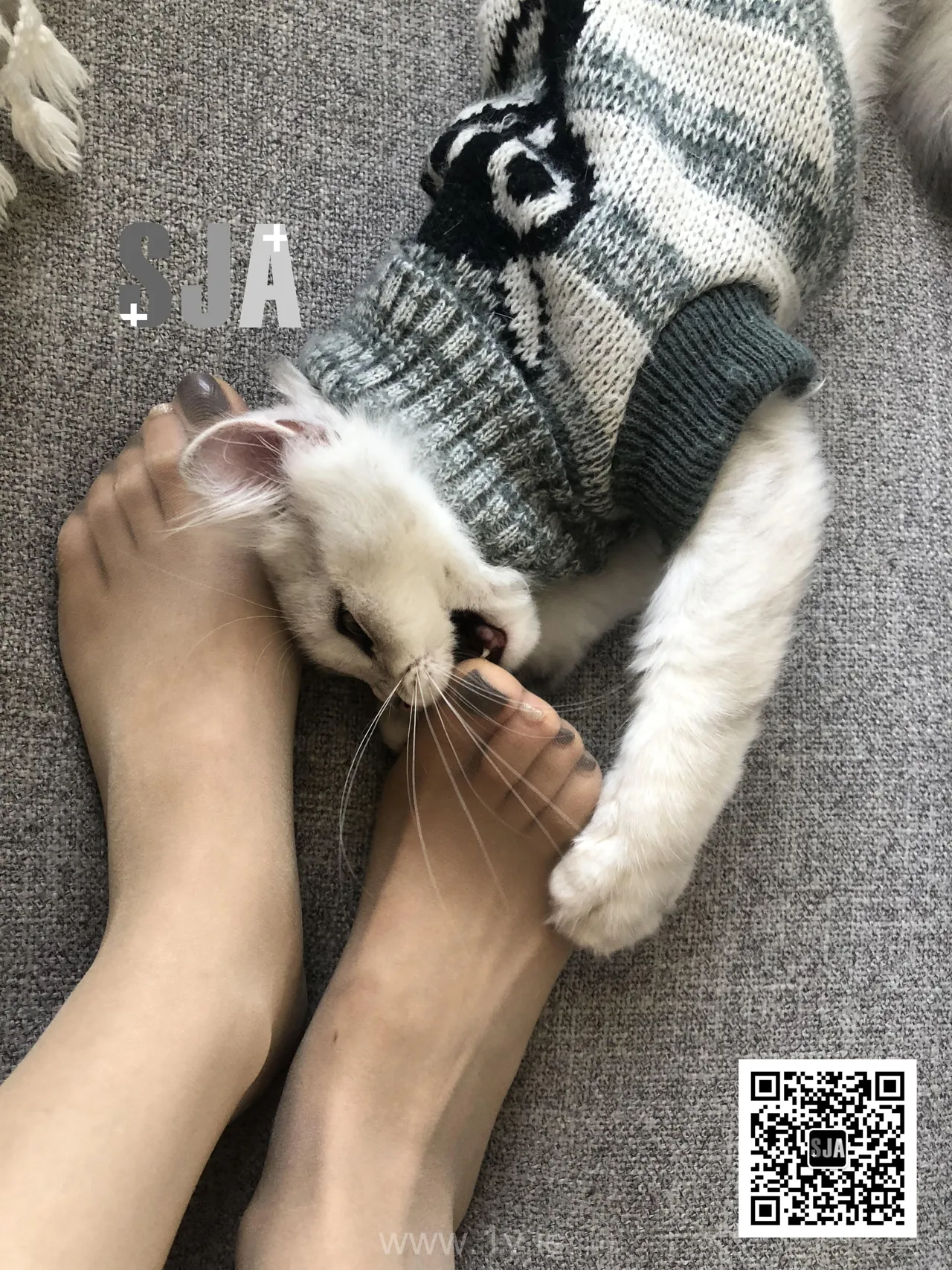 SJA佳爷 VOL.013 闺蜜视角《喵》